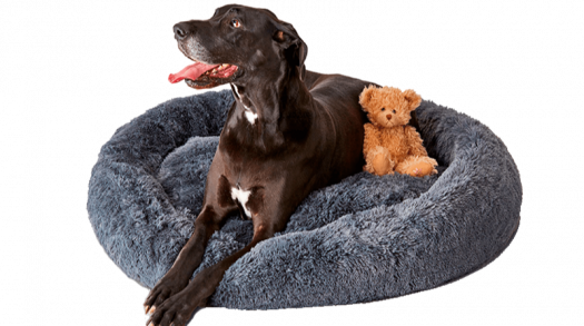Pupnaps: a calming dog bed that anxious pups love 